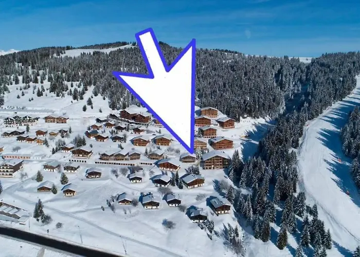 chalet Cocoa